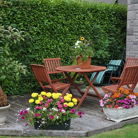 Bed & Breakfast Emerville House Killarney